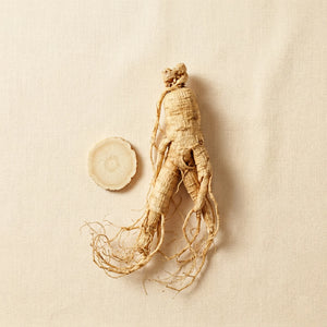Panax Ginseng